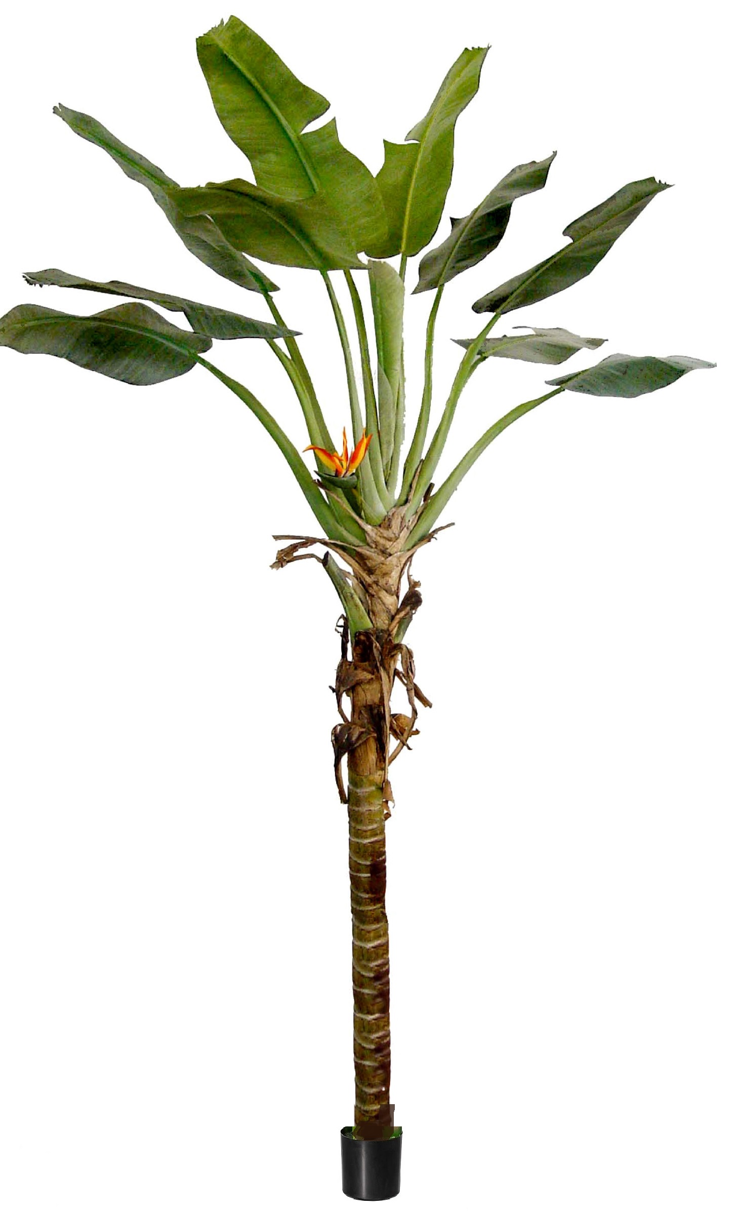 Artificial Paradise palm tree