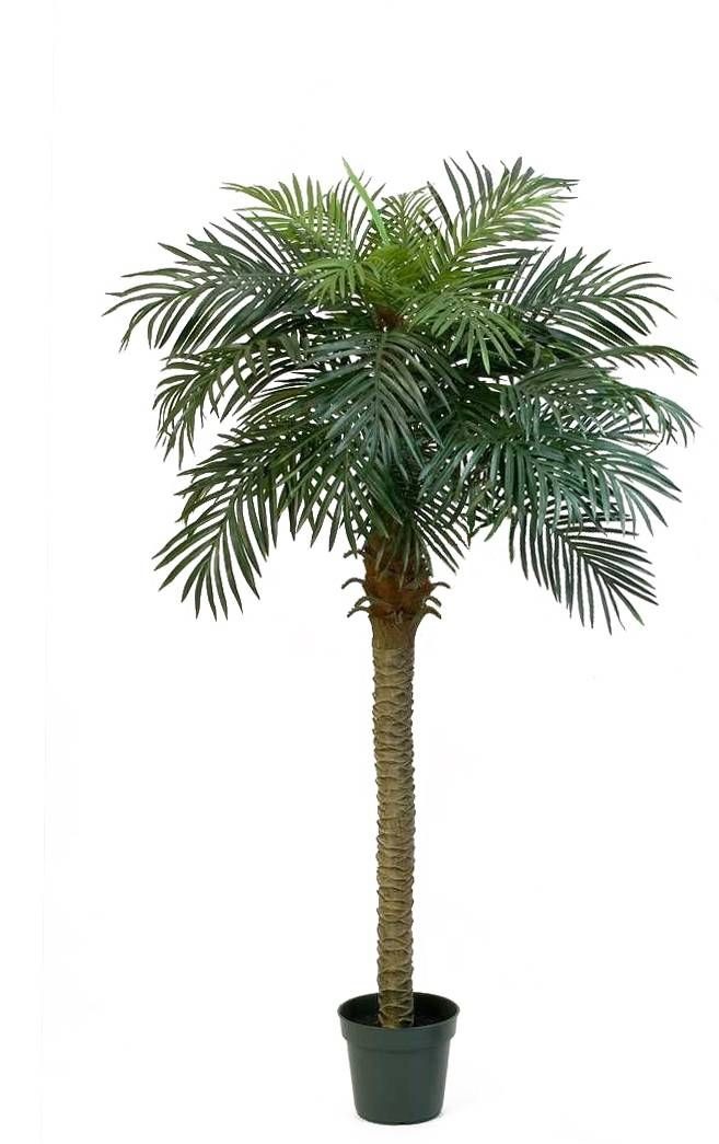 Artifiical date palm tree 