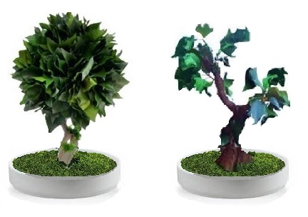 Preserved hedera bonsai