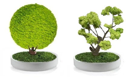 bonsai preserved reindermoss
