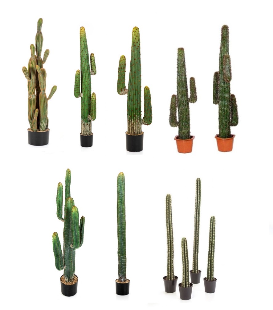 Pianta_grassa cactus colonna artificiale