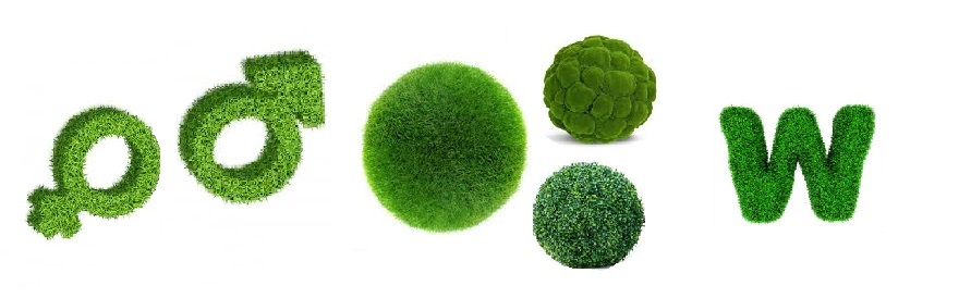 loghi sfere lettere con piante artificiali