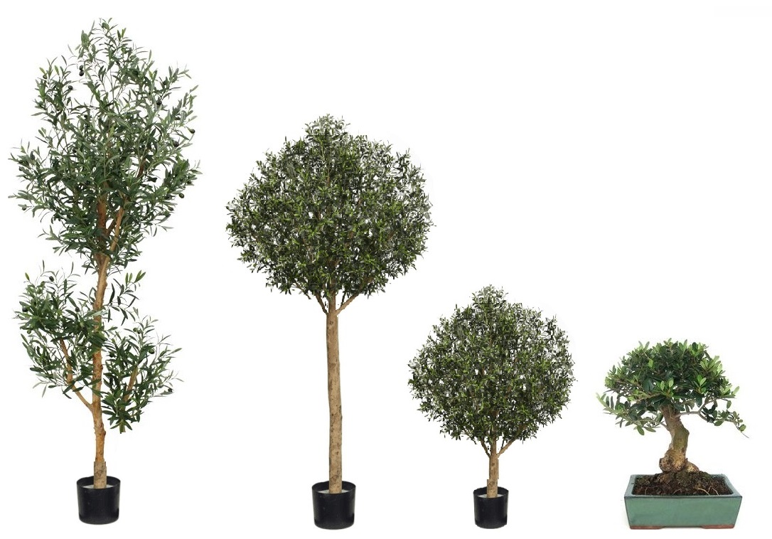 Alberi e bonsai olivo artificiale