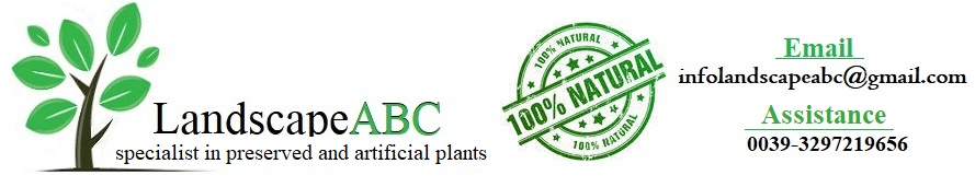 Preserved plants , Preserved bonsai Artificial plants , vertical garden
